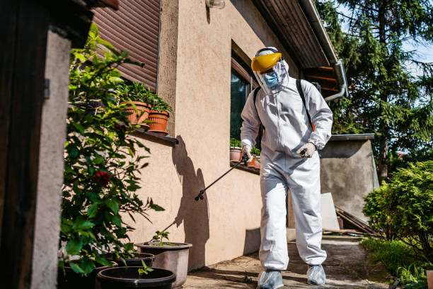 Wasp Removal Services in West Salem, OH